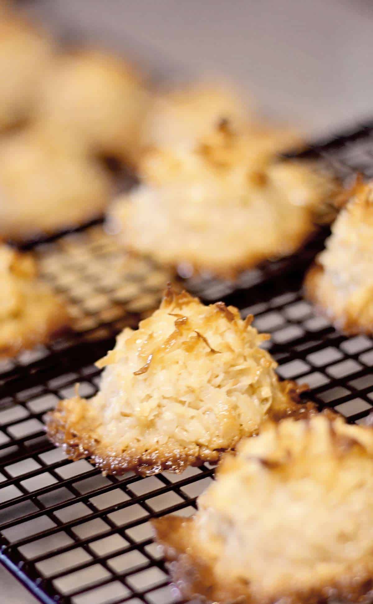 2 Ingredient Coconut Macaroons with condensed milk are a super easy to make chewy caramelized coconut cookie that are naturally gluten free. macaroons | coconut macaroons | coconut macaroon recipe