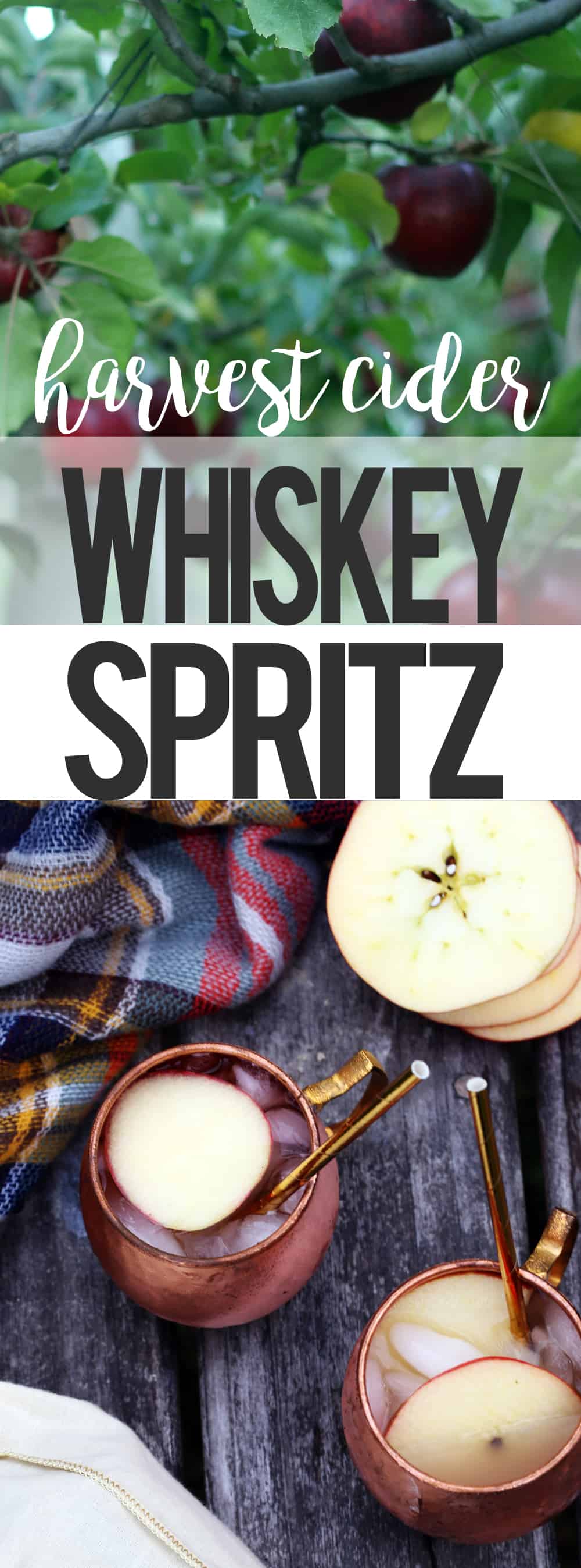 #CollectiveBias #thewhiskey5 Harvest Cider Whiskey Spritz #ad MSG 4 21+ cocktail fall winter cider apples whiskey 