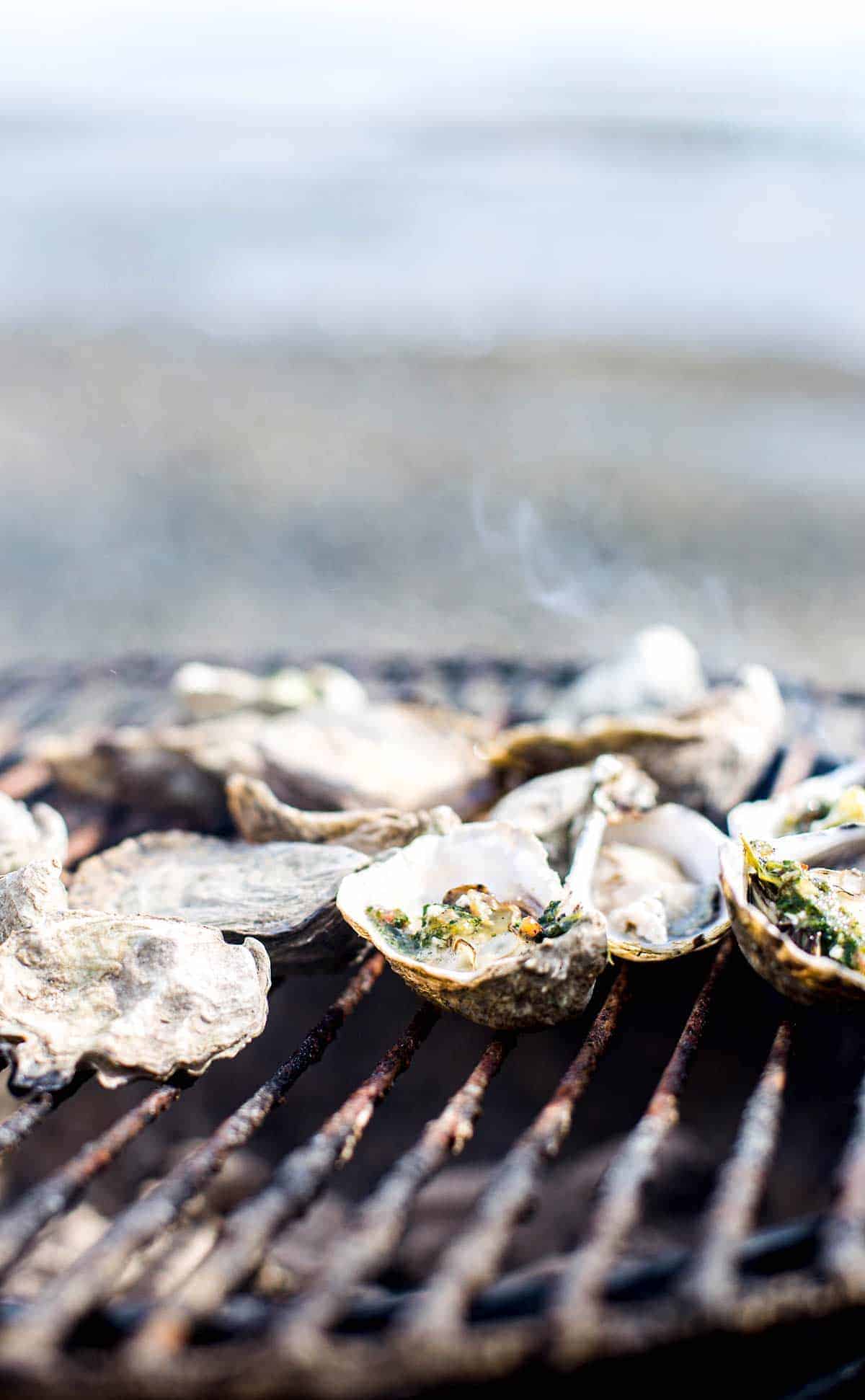 Quick Grilled Oysters Rockefeller with bacon compound butter is the perfect recipe to host last minute guests or a date night at home!