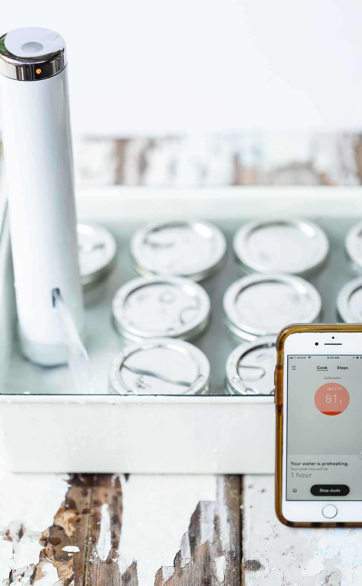 Creme brulee in jars in a water bath with a sous vide cooking machine.