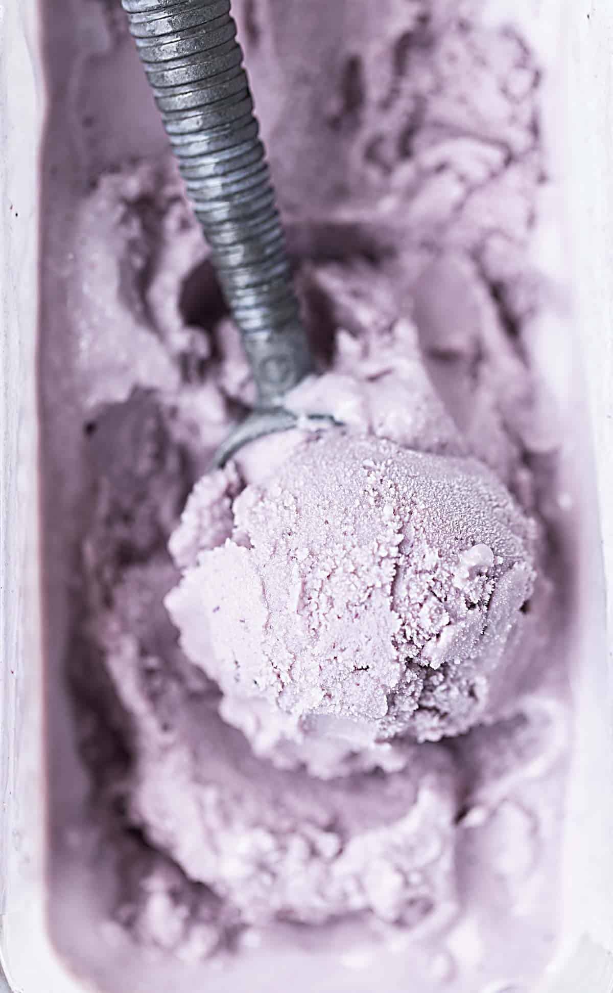 Macro shot of blueberry gelato with a scoop in the ice cream container.