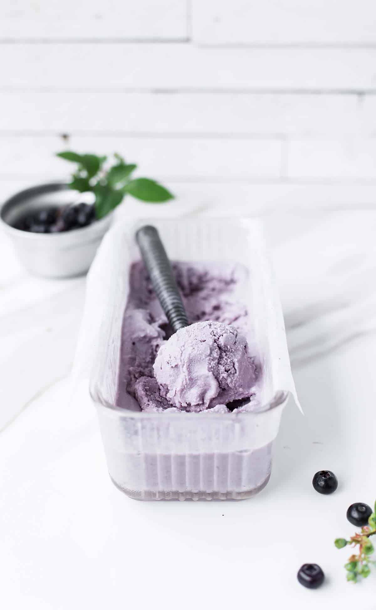 Blueberry ice cream with fresh blueberries.