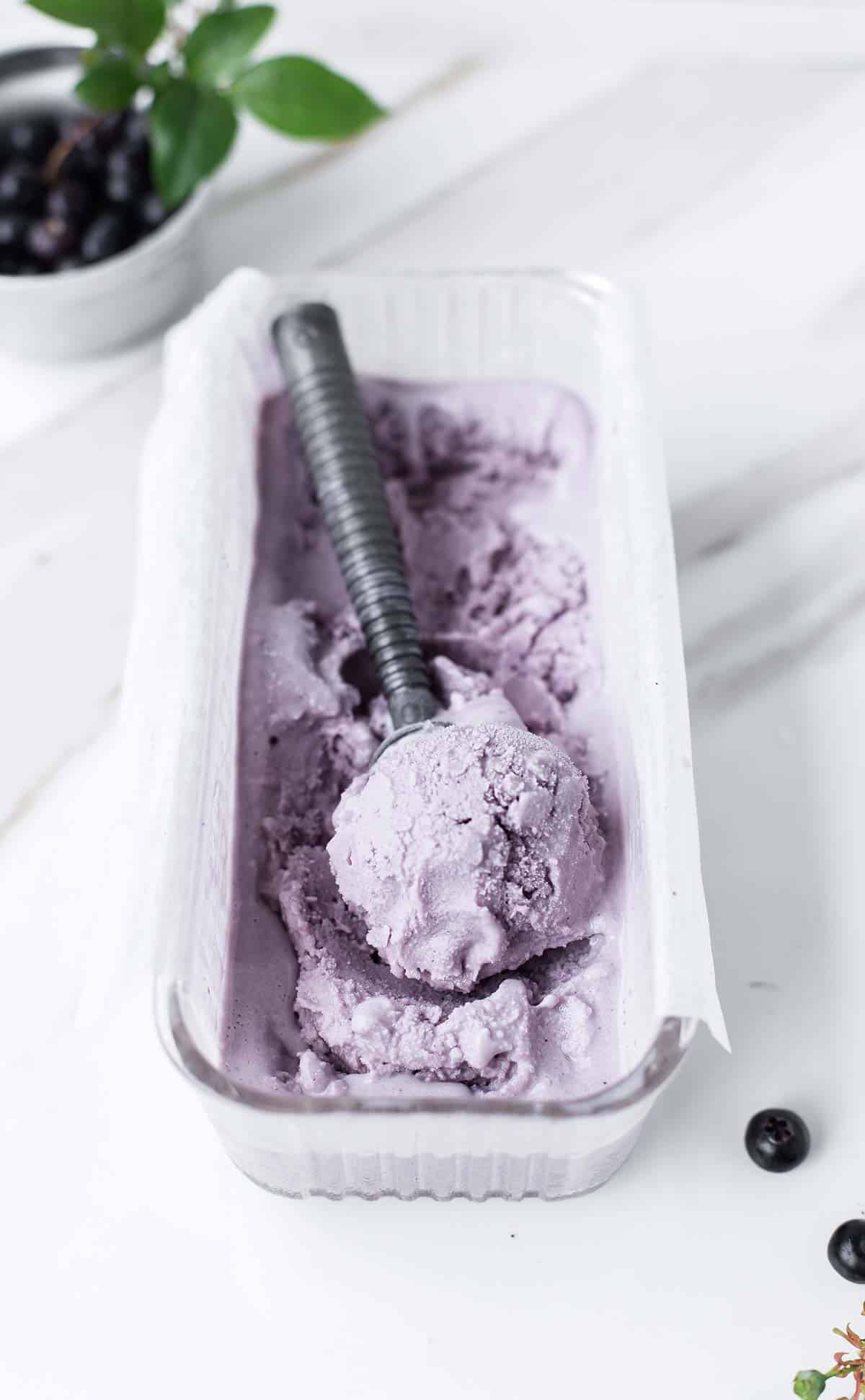 Blueberry gelato in an ice cream container with a vintage ice cream scoop and blueberries on the side.