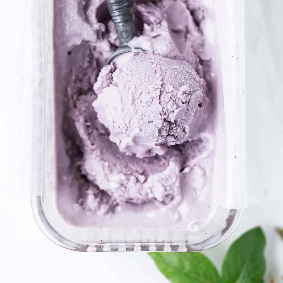Scoop of blueberry gelato in vintage glass dish.
