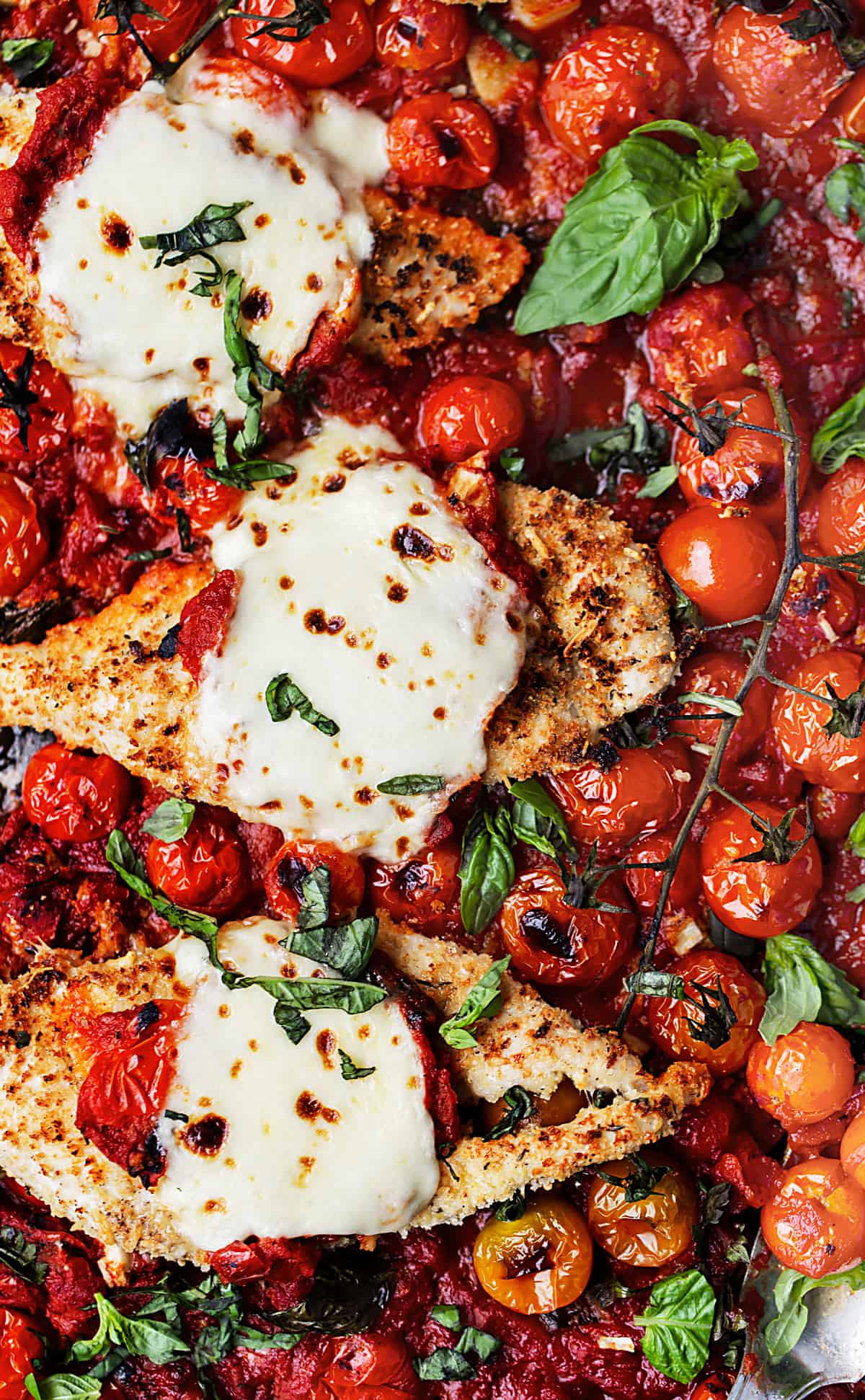 Baked Chicken Parmesan with Roasted Tomatoes is full of garlic, cheese, fresh herbs, and tomato sauce with bursted tomatoes and deep rich flavor. | easy baked chicken parmesan recipe 
