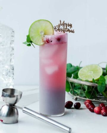 Bright red cranberry cocktail in a tall frosty glass garnished with lime slices and mint leaves.