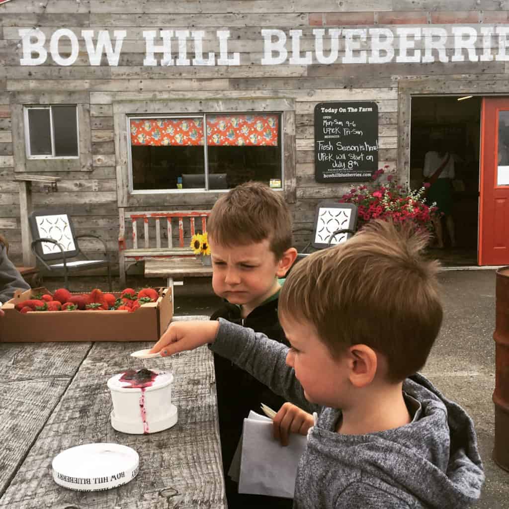 bow hill blueberry farm