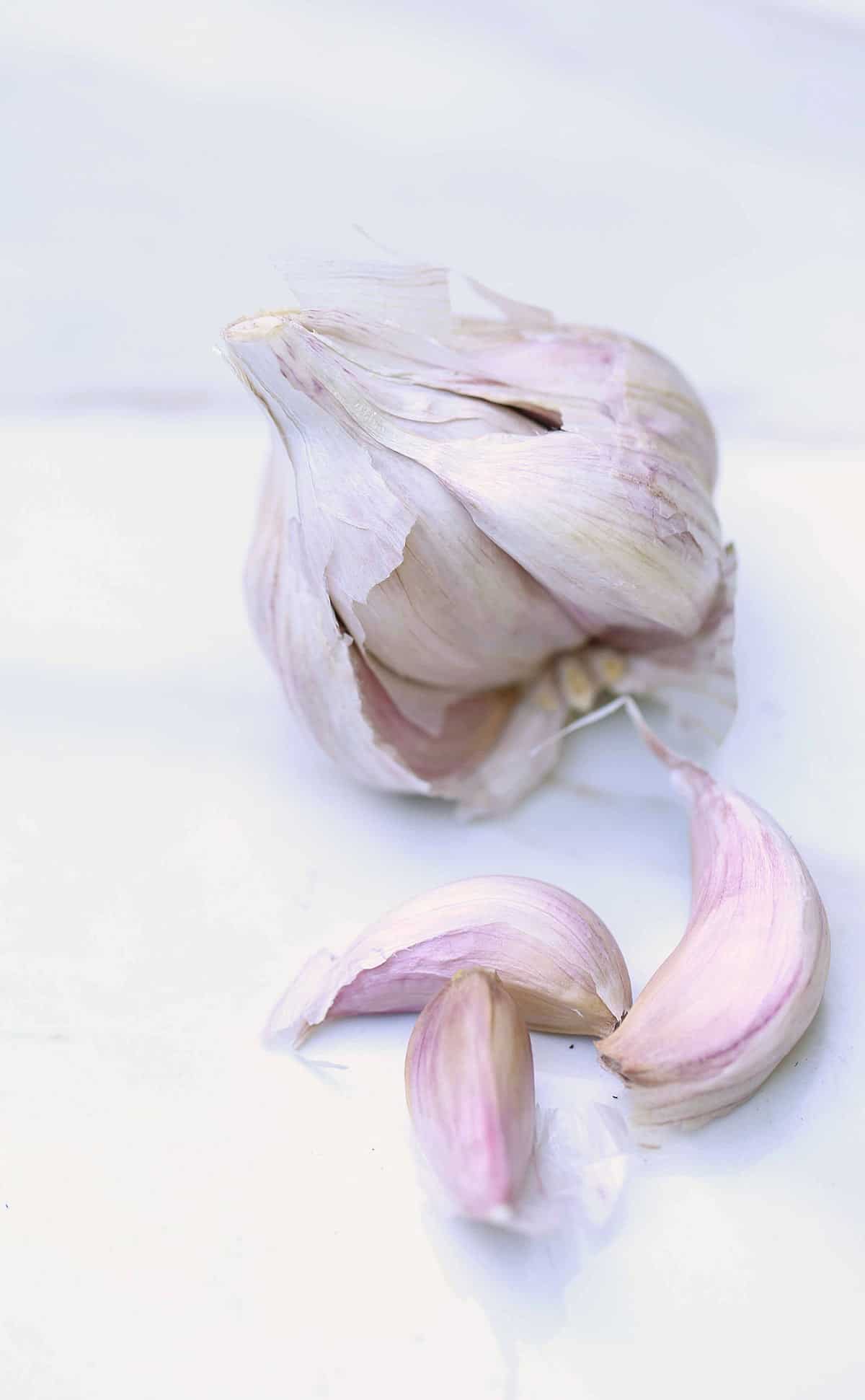fresh purple garlic cloves and head