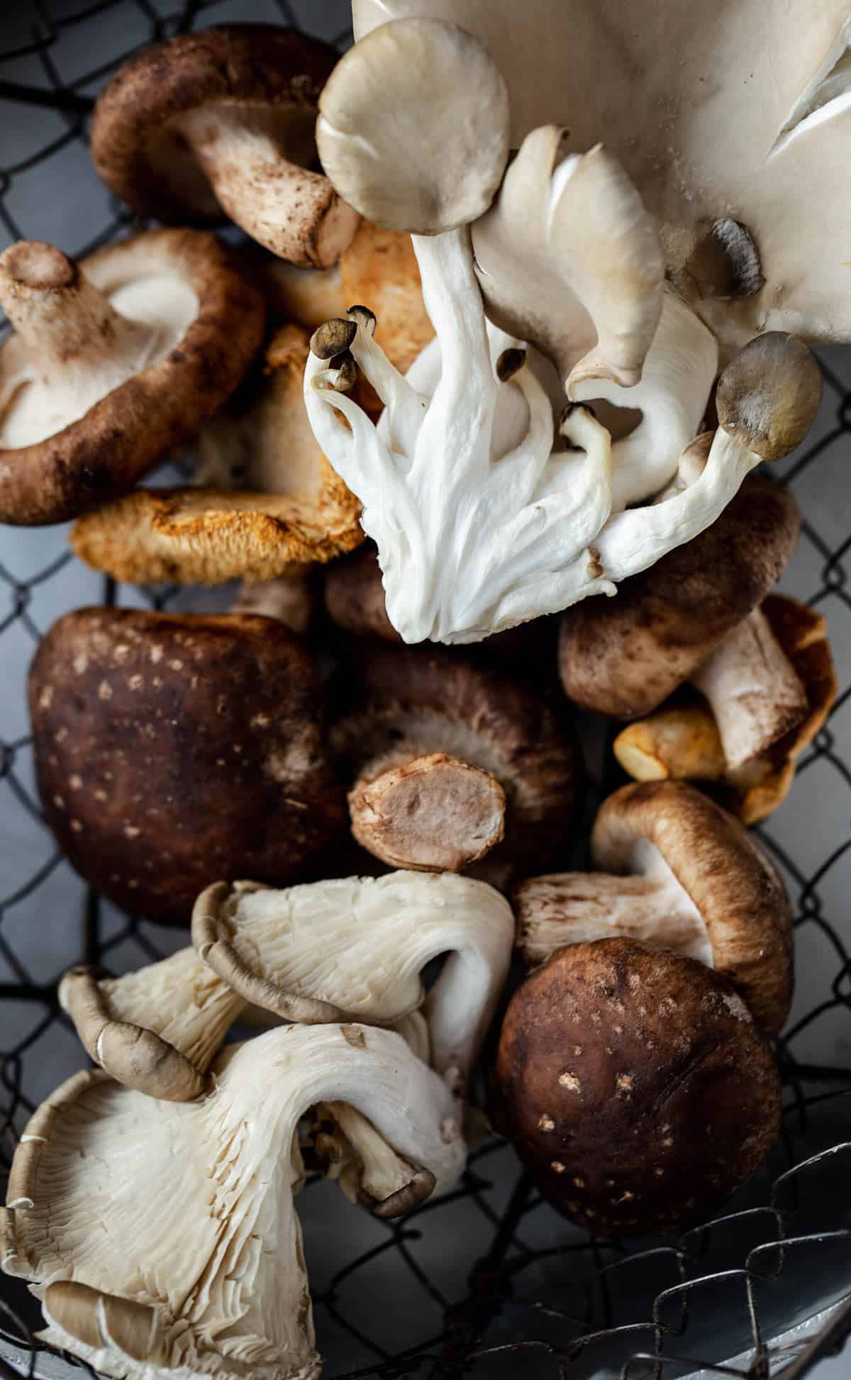 A mix of different wild and conventional mushrooms in a wire basket.