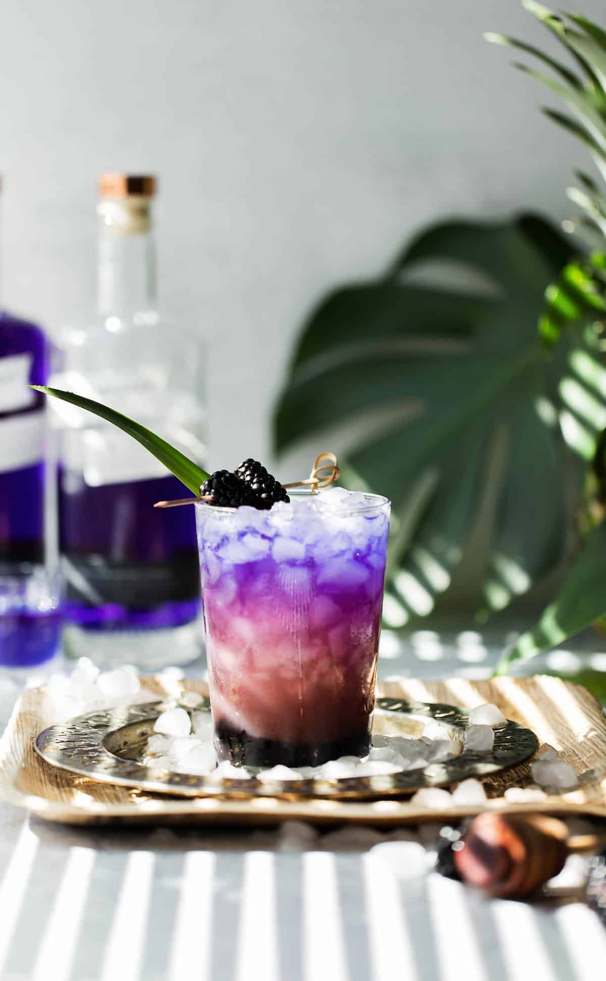 butterfly pea flower cocktail gin