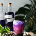 Pacific Empress Gin and Tonic made with color changing butterfly pea flower Empress 1908 Gin is a fruity gin and tonic cocktail with a Pacific Northwest twist. butterfly pea flower Empress gin cocktail | gin and tonic recipe | pink gin cocktail