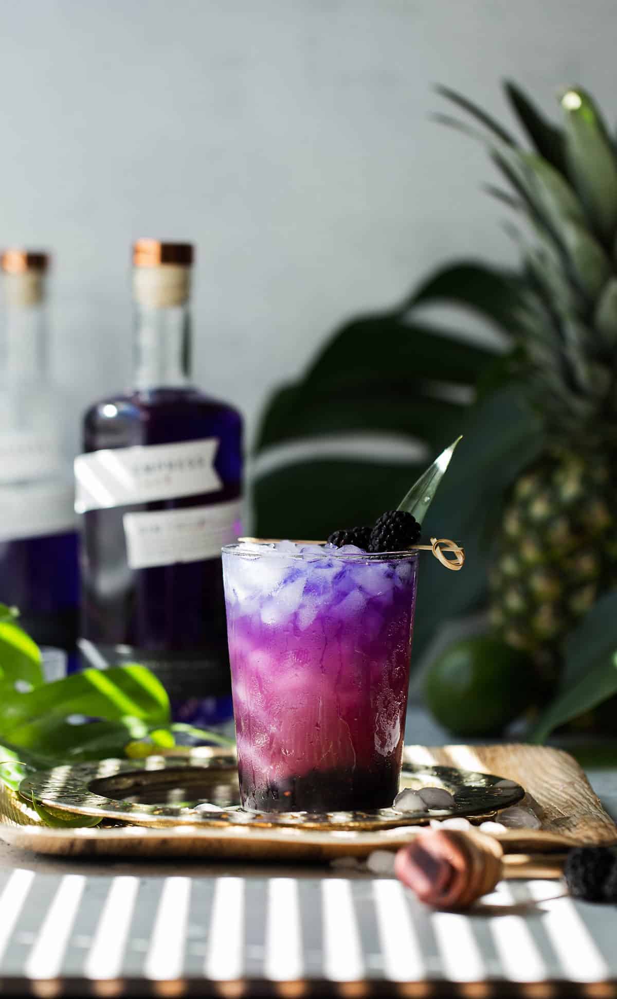 Pacific Empress Gin and Tonic made with color changing butterfly pea flower Empress 1908 Gin is a fruity gin and tonic cocktail with a Pacific Northwest twist. butterfly pea flower Empress gin cocktail | gin and tonic recipe | pink gin cocktail