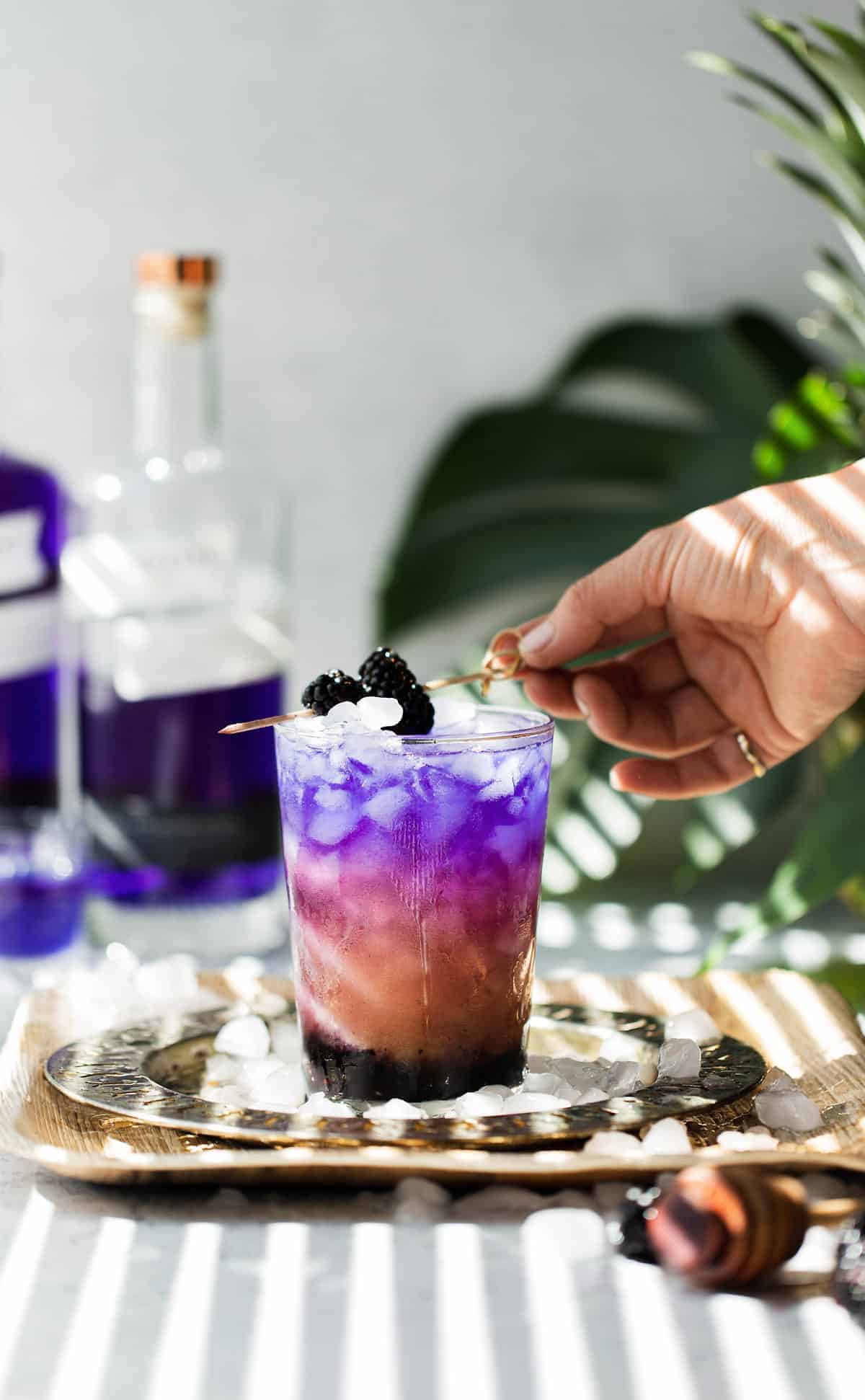 Pacific Empress Gin and Tonic made with color changing butterfly pea flower Empress 1908 Gin is a fruity gin and tonic cocktail with a Pacific Northwest twist. butterfly pea flower Empress gin cocktail | gin and tonic recipe | pink gin cocktail