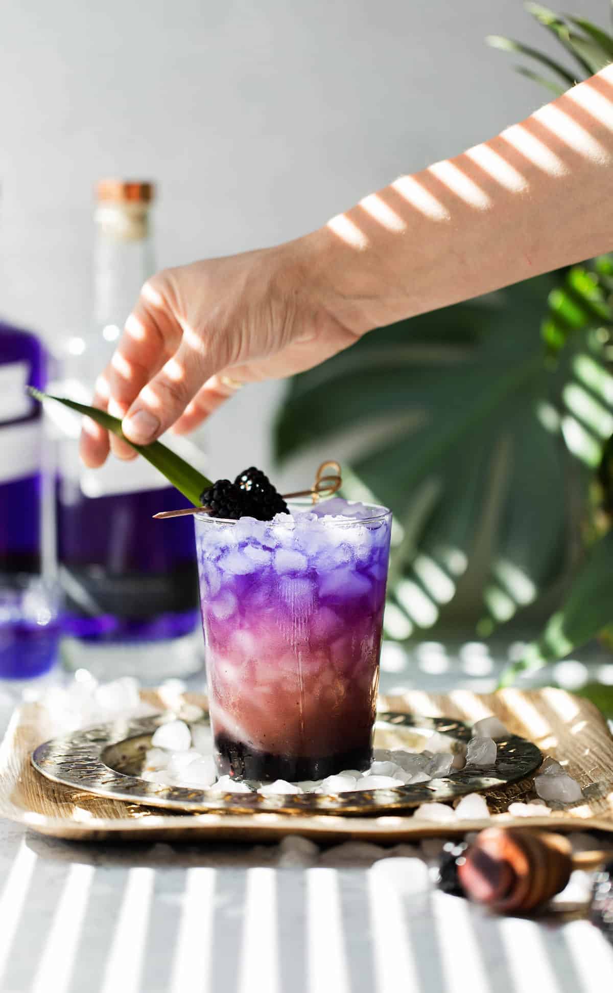 Pacific Empress Gin and Tonic made with color changing butterfly pea flower Empress 1908 Gin is a fruity gin and tonic cocktail with a Pacific Northwest twist. butterfly pea flower Empress gin cocktail | gin and tonic recipe | pink gin cocktail