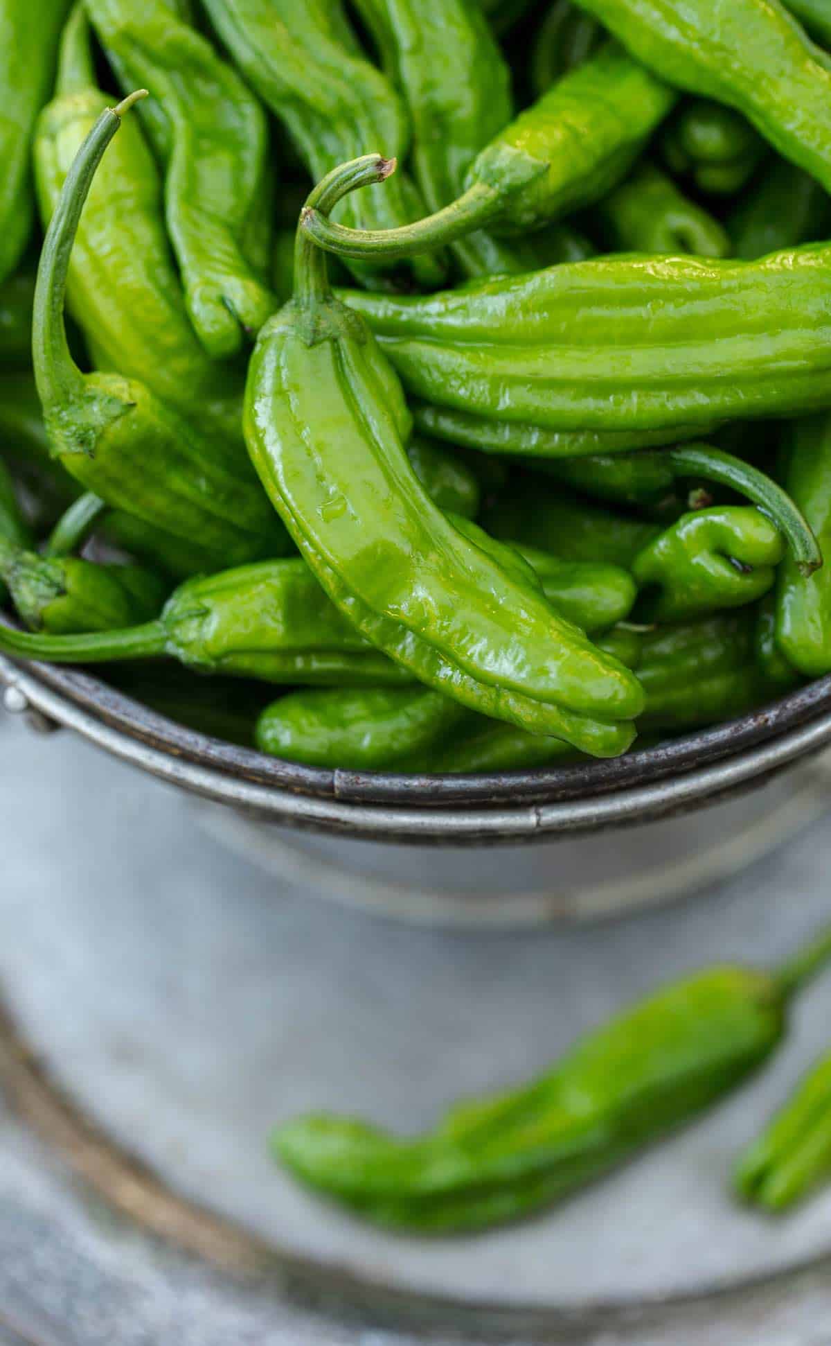 Blistered Shishito Peppers with dipping sauce is a delicious easy appetizer recipe that can be cooked in a cast iron on the stove, grilled on the bbq, baked in the oven and even made in the air fryer. shishito peppers | shishito peppers recipe | japanese peppers 