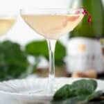 Light blush pink mimosa in a coup glass with a bottle of champagne in the background and garnished with a rhubarb ribbon.
