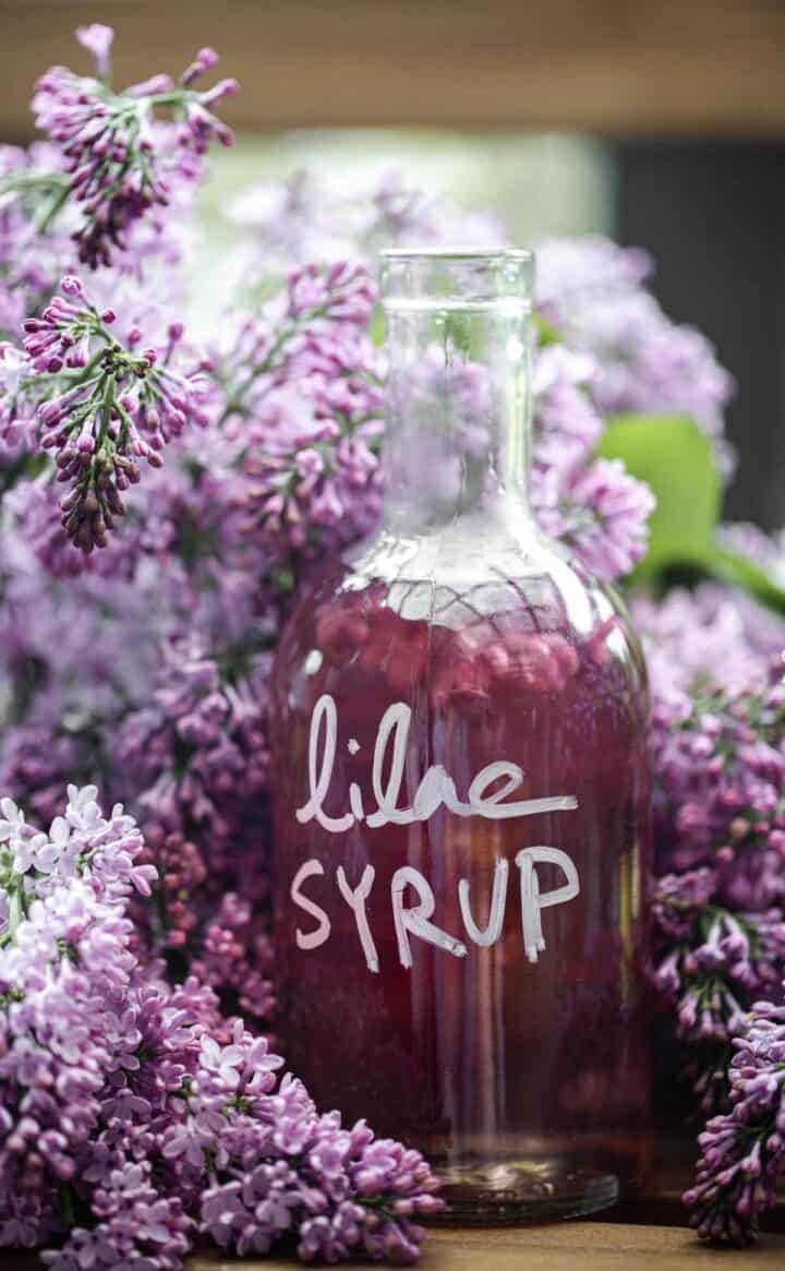 Lilac Syrup - Fresh Flavorful