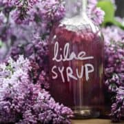 Lilac syrup recipe with lots of different uses.