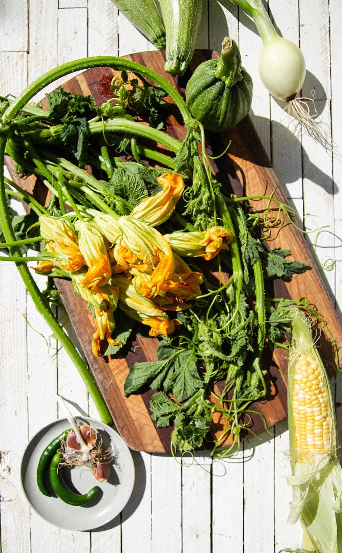 squash soup that uses the squash vine, squash blossom and squash