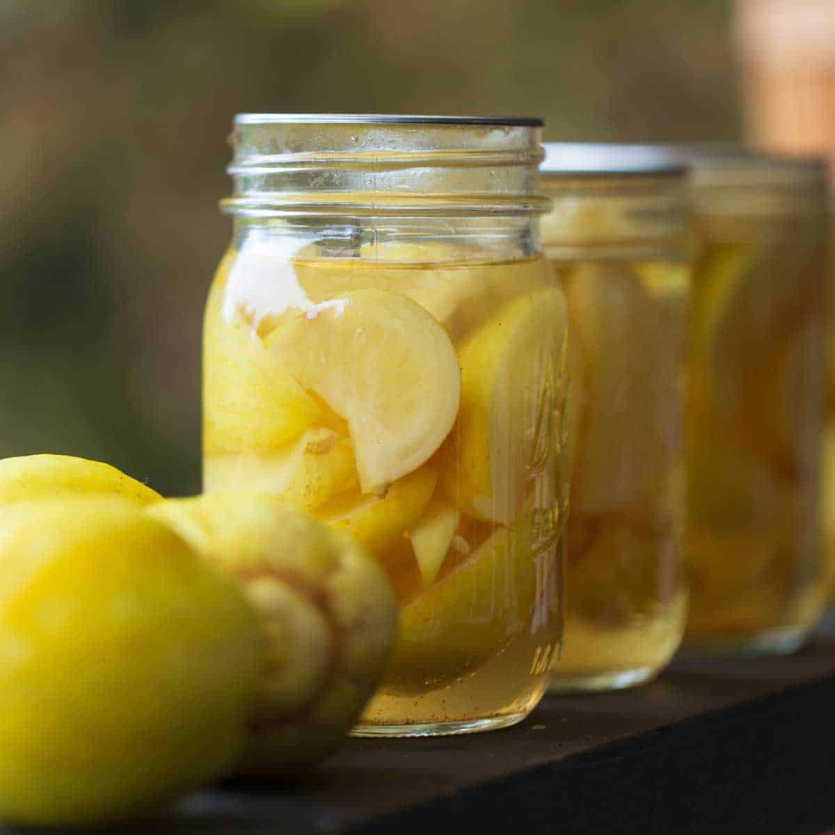 Pickled lemon cucumber in jars.